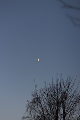 Brightly shining moon in a cloudless night sky
