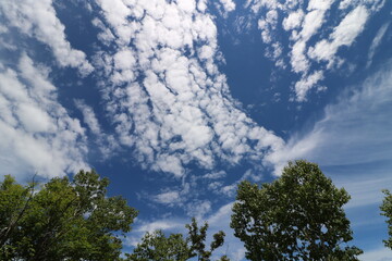 群馬県の赤城山の登山
