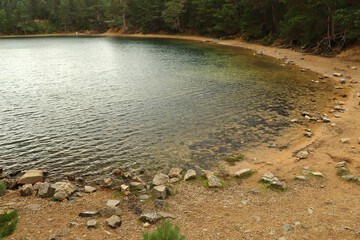 Strolling around the Green Loch in the Cairngorms
