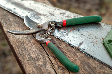Garden secateurs and saw lying on an old wooden surface. Old garden tools. Work in the garden....