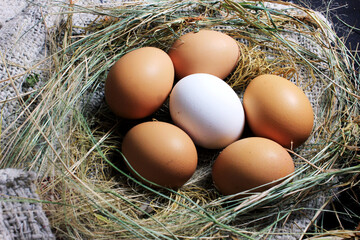 The Eggs closeup picture on the burlap cloth stock photo
