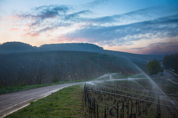 Lutte contre le gel de printemps dans les vignes de Chablis en Bourgogne - Aspersion d'eau et Bougies chaufferettes (2016)