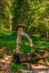 Natural drinking water from forest spring in the Dolomites, Italy.