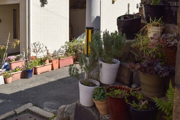Fototapeta na wymiar 大阪、松屋町の情景 