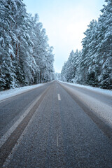 Fototapeta na wymiar Empty asphalt road in winter through a snowy forest. The road through the winter forest.