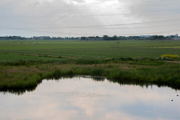 Dutch Farmland Around Abcoude The Netherlands 12-6-2020