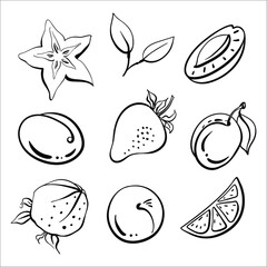 Strawberry, lime, plum, apricot, star fruit. Whole and slices. Black line sketch collection of fruits and berries isolated on white background. Doodle hand drawn fruits. Vector illustration