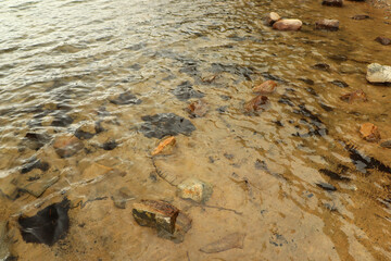 Strolling around the Green Loch in the Cairngorms