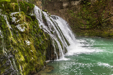 Fototapeta premium waterfall in the forest