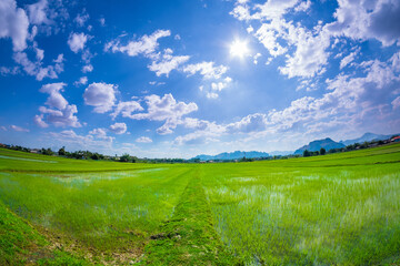 Landscape images for background