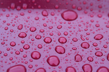 water drops on metal background,raindrops on the floor a Cerise colored metal sheet