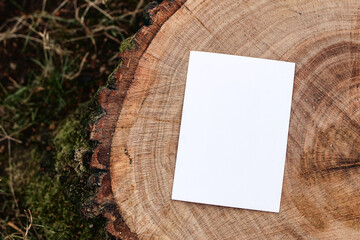 Invitation, branding mock-up. Blank greeting card, leaflet on cut wooden tree trunk in forest. Blurred grass background. Lumber, timber industry and ecology concept. Moody natural lat lay, top view.