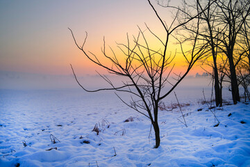 Sunset in a park with snow