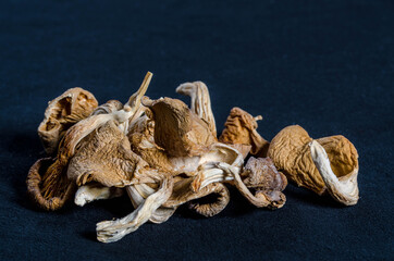 Gastronomie, mise en place, restaurant, preparation, cuisine