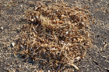 A pile of sawdust, tree bark and small twigs on the asphalt. Spring cleaning in the park.