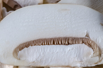 Gastronomie, mise en place, restaurant, preparation, cuisine