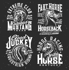 Riding club, jockey and horse polo, race t-shirt prints, vector. Wild horse stallion or mustang symbols of extreme equine riding, Kentucky and Texas equestrian club emblems for t-shirt print