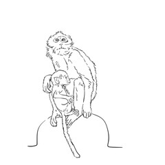 Monkey mom with cub sketch, Macaque female with baby hand drawn vector black and white graphics