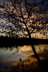 Sunset in front of lake