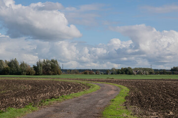Fototapeta na wymiar Empty Harvest Farmland At Abcoude The Netherlands 12-10-2020