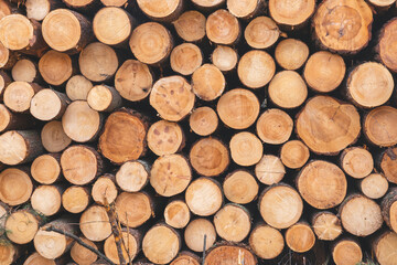 deforestation for roads, wood harvesting, wood as a renewable biological resource, deforestation area for highways