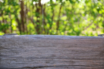 Wooden and green background