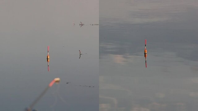 Multiscreen with fishing floats on the water. The movement of the fishing floats. The fish bites the bait