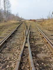 Sedas swamp Latvia. Tracks in the swamp