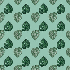 Tropical seamless pattern on light blue background. Abstract texture decoration with leaf monstera different green color.