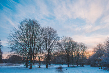 Winter landscape in Braunschweig, Lower Saxony, Germany. Beautiful snow covered Westpark during sunset in Winter