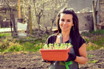  Spring home gardening plant concept. Young pretty Woman gardening in backyard on a sunny spring day .Agriculture and plant grow.Germinating seedling grow step sprout growing from seed. Nature ecology