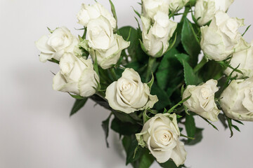 Bouquet of white tea roses on a white background