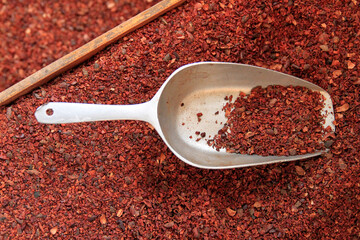 silver scoop in cocoa or cacao nibs background