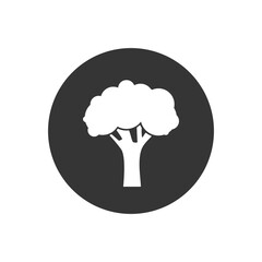 Tree white icon. Sign in modern flat style. Vector