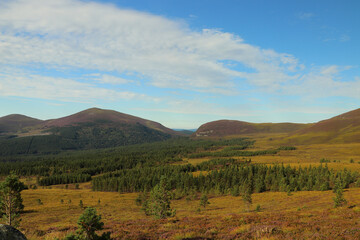 Fototapeta premium View out from high up in the Cairngorms