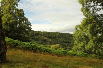 Views over Glen Affric from Eagle Brae