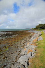 rock path to the sea at low tide