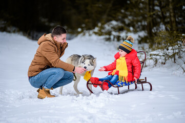 Fototapeta na wymiar Family walk in the winter forest with huskies, happy daughter and dad playing with a dog.