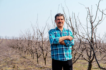 A front view of senior farmer standing in orchard. Senior farmer pruning tree in orchard