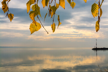 November landscape of Balaton at Balatonkenese and birch leaves