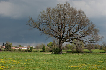 temporale di primavera in campagna