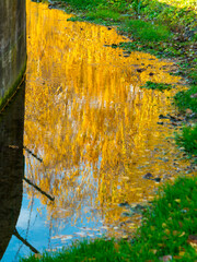 Autumn reflection on water near lake Balaton