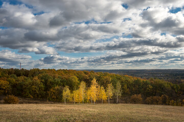 Naklejka premium Field and trees under cloudy sky at sunlight. Autumn