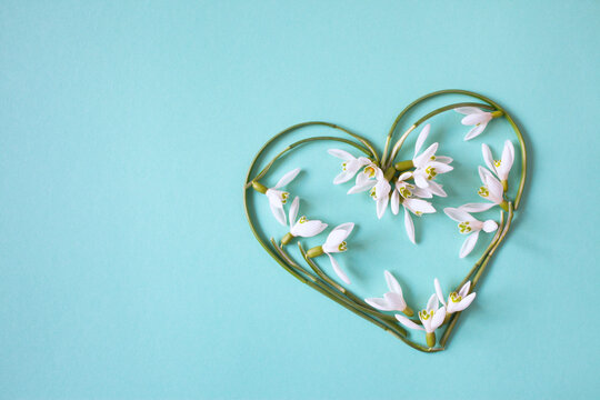 Snowdrops in the shape of a heart on a turquoise paper background. Space for congratulations text, postcard.