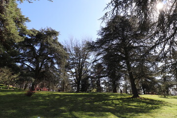 Parc de Parilly, ville de Bron , département du Rhône, France