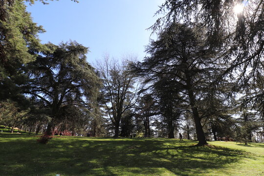 Parc de Parilly, ville de Bron , d&eacute;partement du Rh&ocirc;ne, France