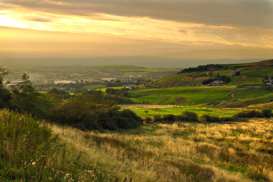 Looking over Shaw