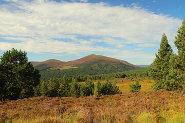 View out from high up in the Cairngorms