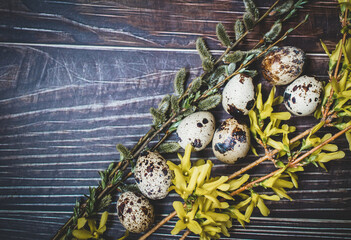 Kolorowe jajka na Wielkanoc - obrazy, fototapety, plakaty