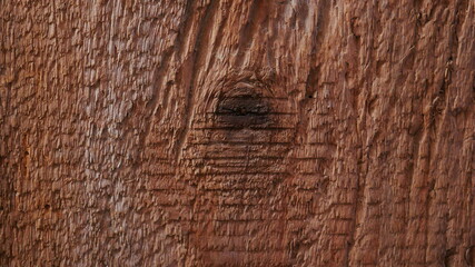 Natural wooden board with a knot of brown color